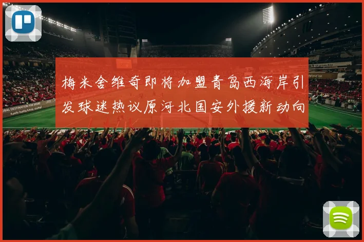 梅米舍维奇即将加盟青岛西海岸引发球迷热议原河北国安外援新动向